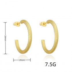 Exaggerated metallic style from Europe and America, simple geometric round ear rings, ins, fashionable and high-end, large earrings, stud earrings, new ear style