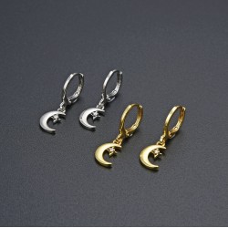 Simple and inS-style star and moon combination earrings for women, fresh and sweet earrings, Japanese and Korean style ear buckles wholesale
